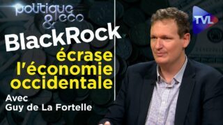 BlackRock : la nébuleuse du scandale (1ère partie) – Politique & Eco n°327 avec Guy de La Fortelle