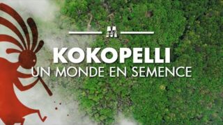 Marcel D. vous présente : Kokopelli, un monde en semence