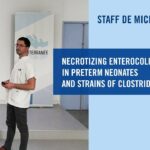 Necrotizing enterocolitis in preterm neonates and strains of Clostridium species