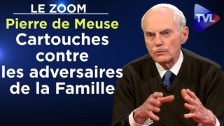 Cartouches contre les adversaires de la Famille – Le Zoom – Pierre de Meuse – TVL