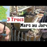 3 Trucs à faire en Mars au Jardin