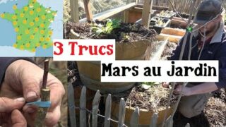 3 Trucs à faire en Mars au Jardin