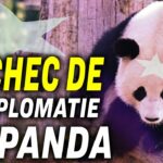Confinement à Shanghai : l’enfer rouge ; La diplomatie chinoise du panda a-t-elle perdu son éclat?