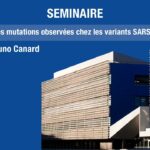 Pr Bruno Canard – Que signifient les mutations observées chez les variants SARS-CoV2 ?