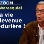 La vie est devenue procédurière ! – Le Zoom – Emmanuel de Waresquiel – TVL