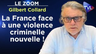 La France est face à une violence criminelle nouvelle ! – Le Zoom – Gilbert Collard – TVL