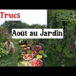 3 Trucs à faire en Août au Jardin