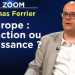 Europe : extinction ou renaissance ? – Le Zoom – Thomas Ferrier – TVL
