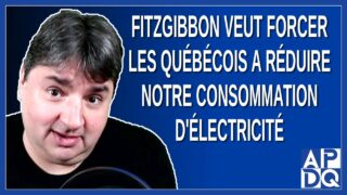 Fitzgibbon pense que les québécois consomme trop d’électricité
