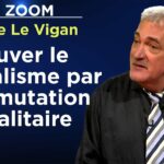 Comprendre Macron pour le combattre – Le Zoom – Pierre Le Vigan – TVL