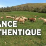 France authentique avec Jean LASSALLE | Marché de Tardets du Pays Basque
