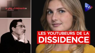 Notre guide des 36 youtubeurs  de la dissidence – Le Plus d’Eléments – TVL