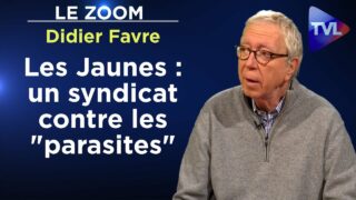 Syndicalisme jaune : le parti des intérêts nationaux – Le Zoom – Didier Favre – TVL