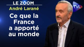 « Déconstruire notre histoire » : une réponse à E. Macron – Le Zoom – André Larané – TVL