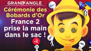 Cérémonie des Bobards d’Or 2023 : France 2 prise la main dans le sac ! – Le Grand Angle – TVL