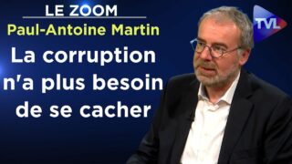 Etat profond : le cancer de la France – Le Zoom – Paul-Antoine Martin – TVL