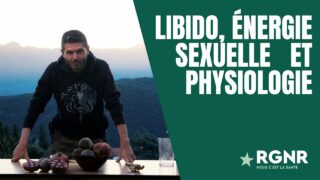 Le jus Libido, Énergie sexuelle & physiologie