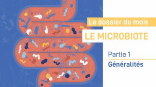 Les recherches sur le Microbiote – Partie 1