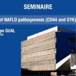 New Players of NAFLD pathogenesis (CD44 and SYK)