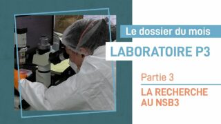 La recherche au sein du laboratoire NSB3 – Partie 3