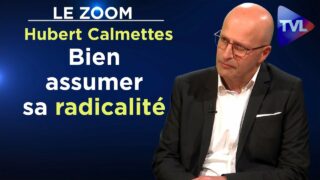 Le guide marketing du dissident – Le zoom – Hubert Calmettes