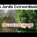 Permaculture et Forêt Comestible. Un Jardin Extraordinaire !!