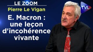 E. Macron est-il machiavélique ? – Le Zoom – Pierre Le Vigan – TVL