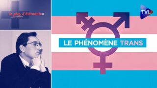 Le phénomène trans (transgenre) – Le plus d’Eléménts – TVL