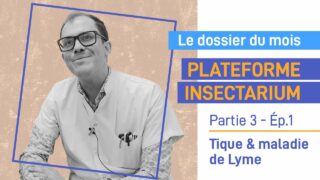 Plateforme insectarium : Tique et Maladie de Lyme – Partie 3 Ép.1