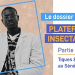 Plateforme insectarium : Tiques & Punaises au Sénégal – Partie 3 Ép.2