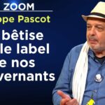Pouvoir, sexe, argent : éloge de la bêtise – Le Zoom – Philippe Pascot – TVL