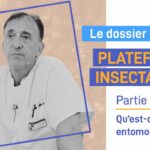 Plateforme insectarium : Qu’est ce qu’un entomologiste ? – Partie 4