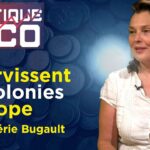 La République française n’existe plus ! – Politique & Eco n°403 avec Valérie Bugault – TVL