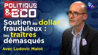 Guerre de l’or et ouragan bancaire : vaincre l’apocalypse – Politique & Eco n°406 avec Ludovic Malot