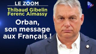 Orbán pour comprendre la stratégie hongroise – Le Zoom – Thibaud Gibelin – Ferenc Almassy – TVL