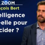 Emmanuel Macron sait-il discerner ? – Le Zoom – François Bert – TVL