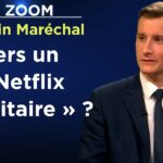 Epopée, la plateforme vidéo de la culture française – Le Zoom – Romain Maréchal – TVL