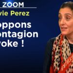 La contre-offensive anti-woke est lancée ! – Le Zoom – Sylvie Perez – TVL