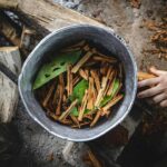 L’ayahuasca comme outil de travail sur soi – Elo Veut Savoir