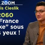 2060 : dans l’enfer d’une France inclusive, antiraciste, woke au pouvoir ! – Le Zoom – Dénis Cieslik