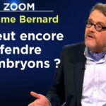 Avortement : dialogue entre une mère et son enfant à naître – Le Zoom – Guillaume Bernard – TVL