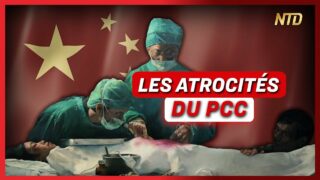 Des médecins parlent des crimes du PCC ; Les députés rejettent la loi immigration | NTD L’Actu