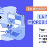La paléomicrobiologie ou l’étude des microbiotes anciens – Partie 1