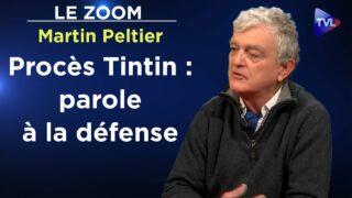 Réponses au procès fait à Tintin-Hergé ! – Le Zoom – Martin Peltier  TVL