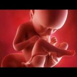 Chronique d’Élo #001 – L’avortement