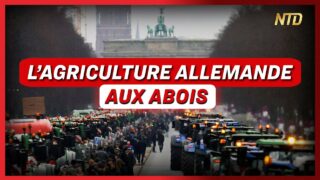 Les agriculteurs allemands unis contre le gouvernement ; Trump visé par la justice | NTD L’Actu