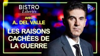 Les raisons cachées de la guerre selon Alexandre del Valle – Bistro Libertés – TVL