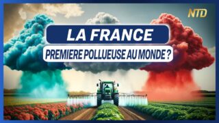 Quand l’agriculture argentine remet en cause le modèle français : est-ce légitime ?