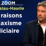 Insécurité : la police pour empêcher une guerre civile ? – Le Zoom – Laurent Cassiau-Haurie – TVL