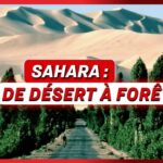 Le projet qui transforme le Sahara ; La Suède face à la Russie et la Chine | NTD L’Actu